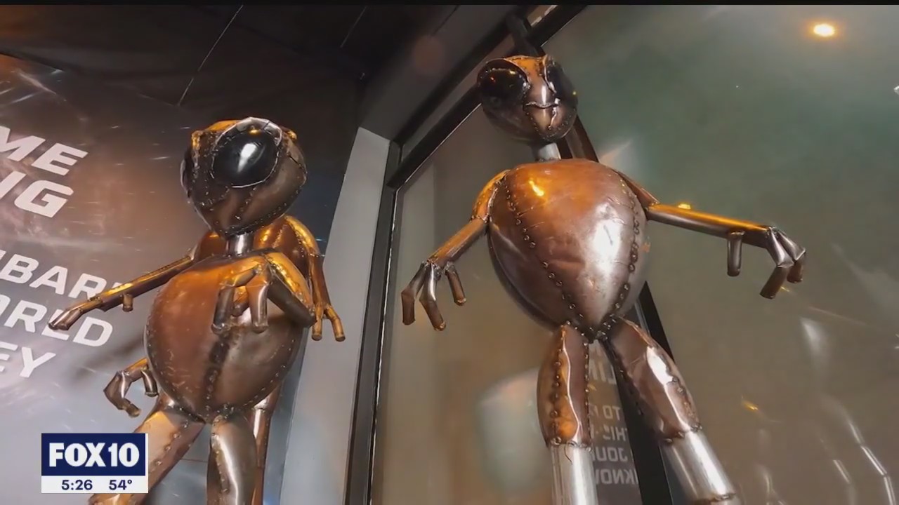 UFOs: People can 'experience' extraterrestrial life at new exhibit