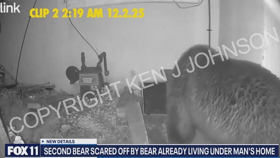 Second bear spotted as Altadena homeowner struggles with crawl-space intruder