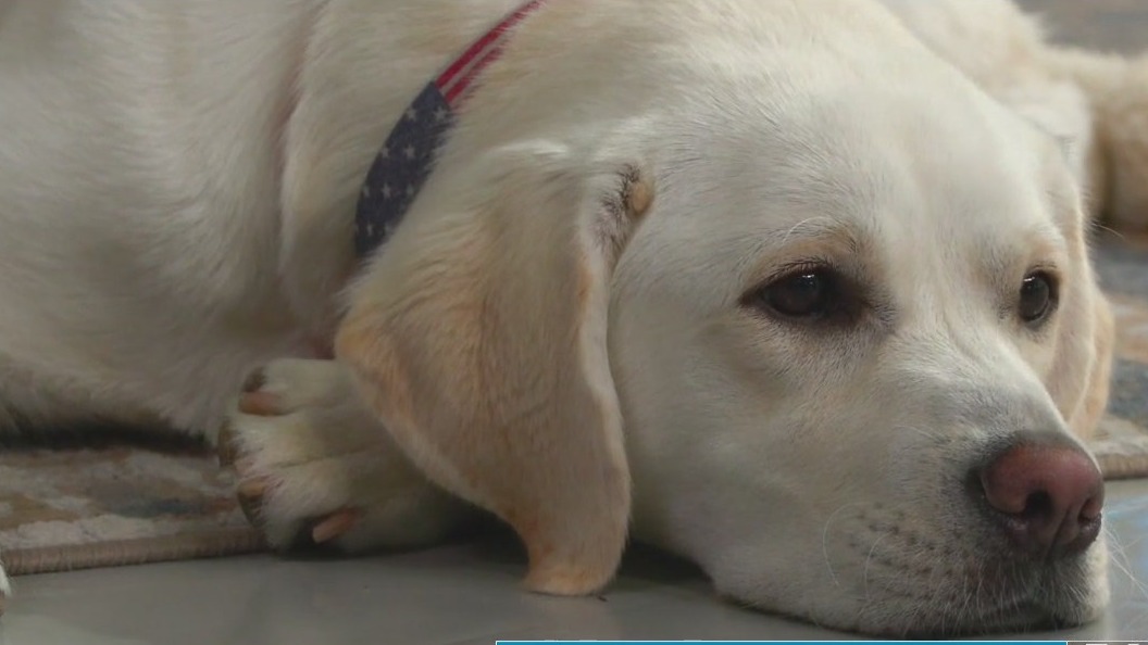 FOX 9 Good Day: Aug. 20, 2025