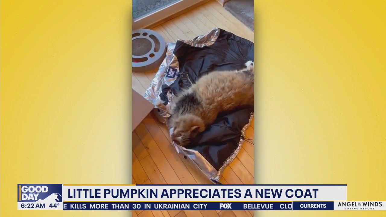 Pet Tricks for Monday, April 14