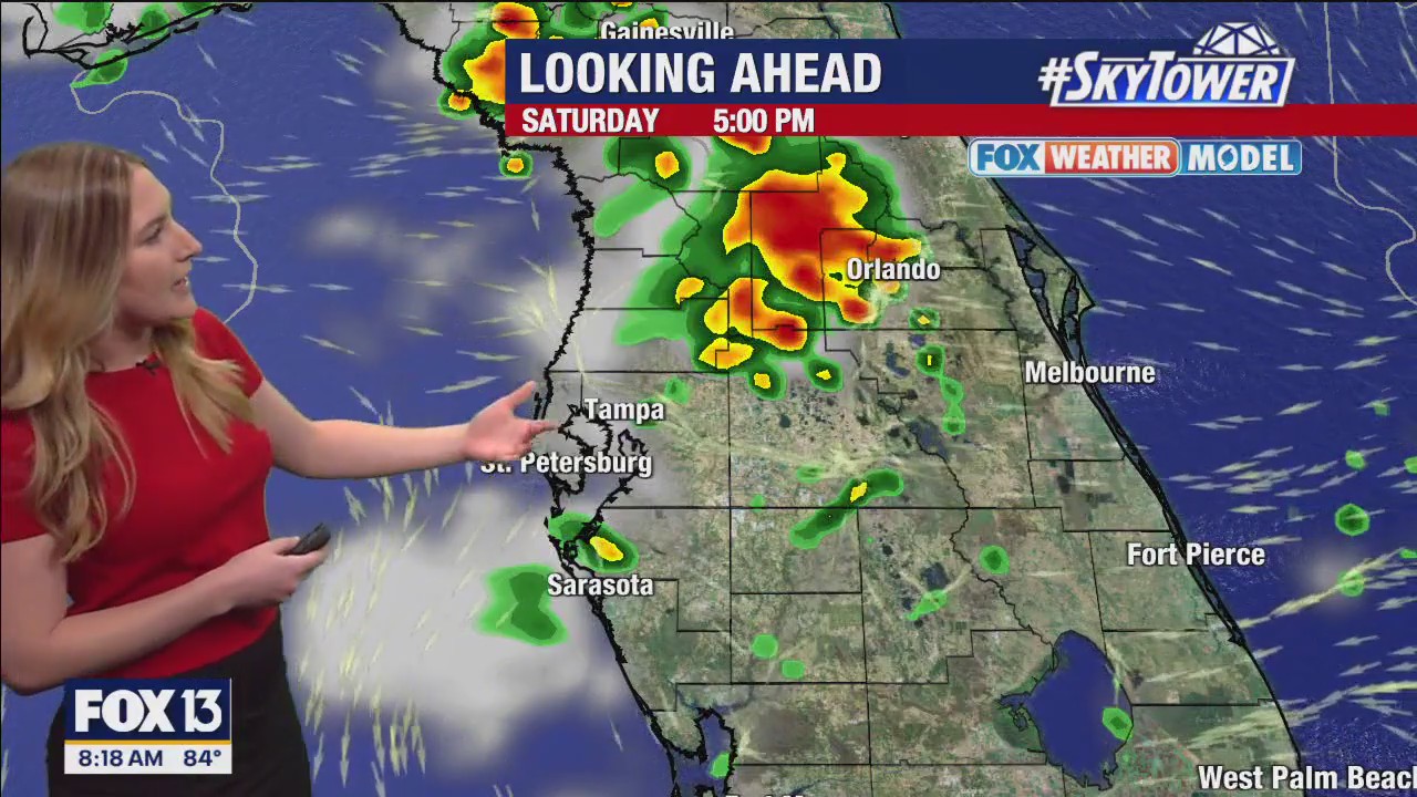 Tampa weather | High heat index Saturday