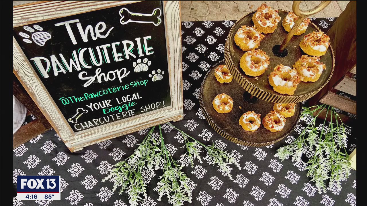 Made in Tampa Bay - Preservative-free treats for pets in Tampa