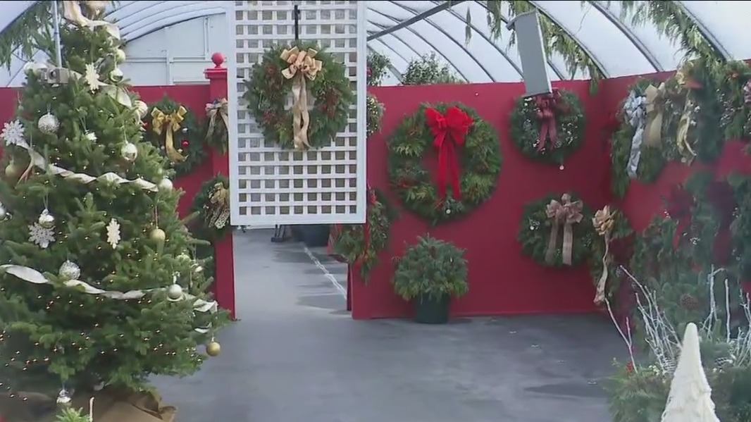 Getting goodies at Mariani Landscape's Holiday Shoppe