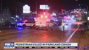 Pedestrian killed in hit-and-run crash in Parkland, WA