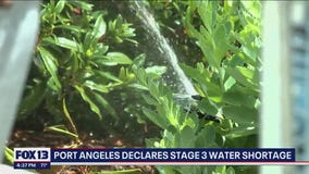 Port Angeles declares Stage III water crisis