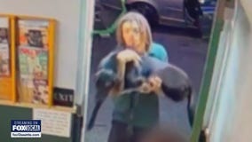 Surveillance video released in dog daycare animal abuse case