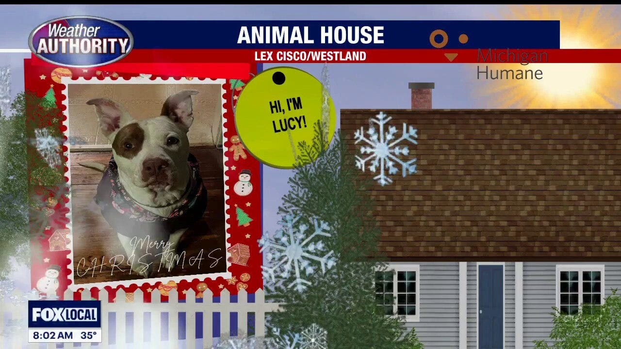 Welcome Lucy, Willow, Tillie