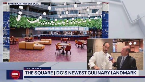 Visiting The Square with Mr. M.O.S.