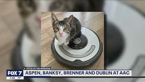 Pet(s) of the Weekend: Aspen, Banksy, Brenner and Dublin