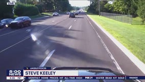 Black bear spotted in northern Bucks County