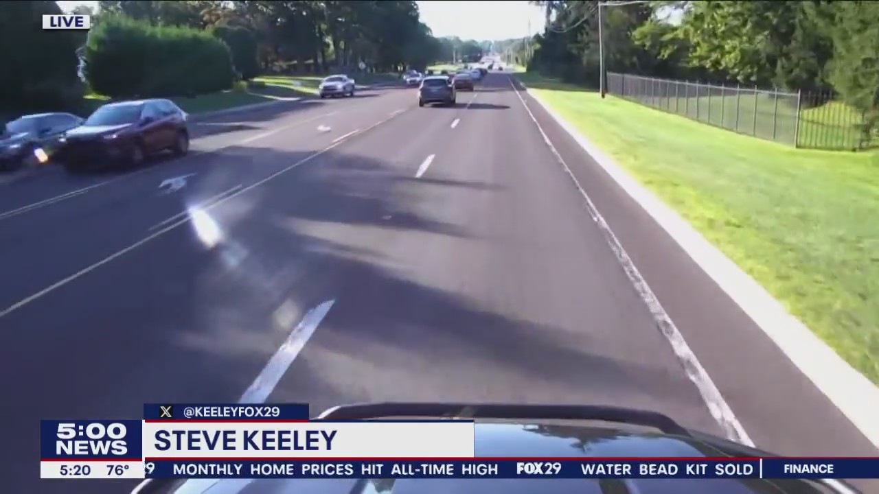 Black bear spotted in northern Bucks County