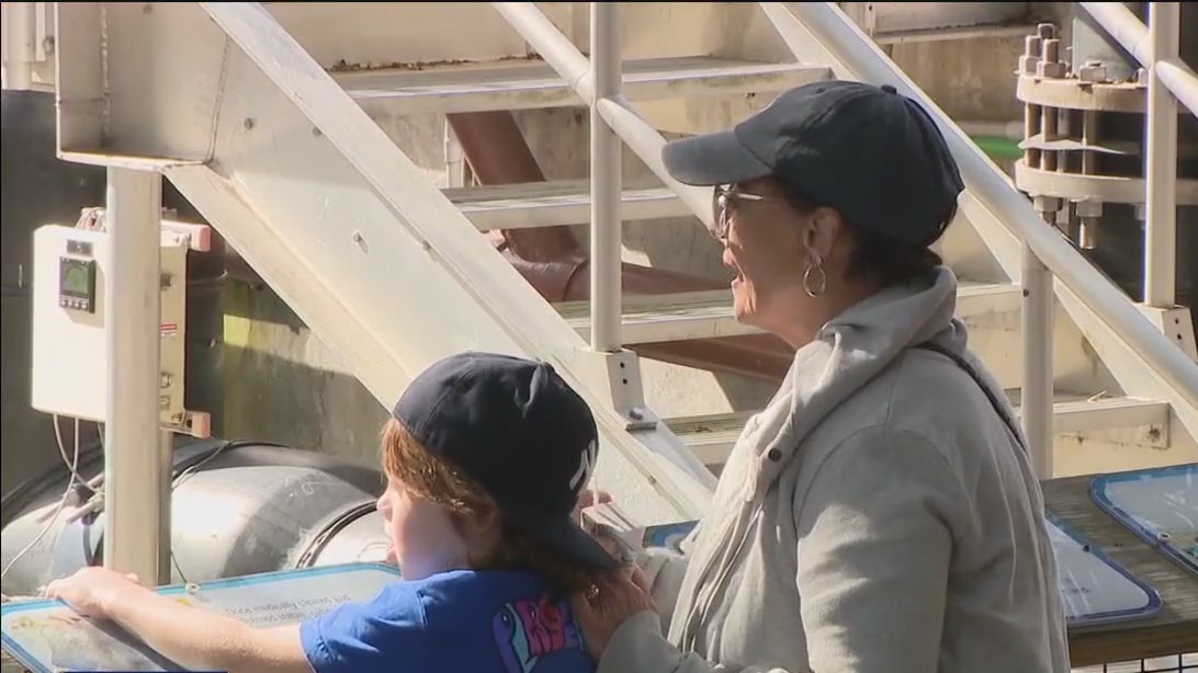 ZooTampa expands its Manatee Rescue Center