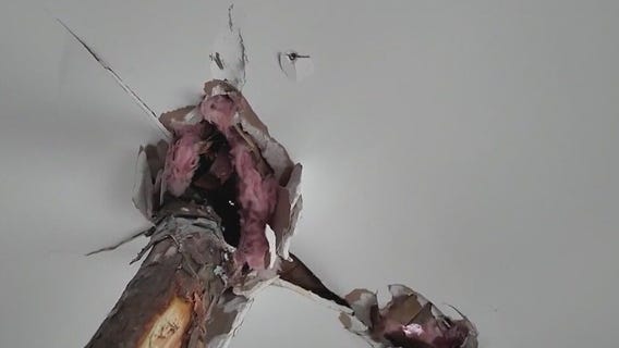 Icy tree branches pierce through roof