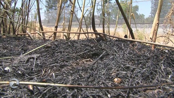 13 fires lit over the weekend in Santa Rosa concerns residents