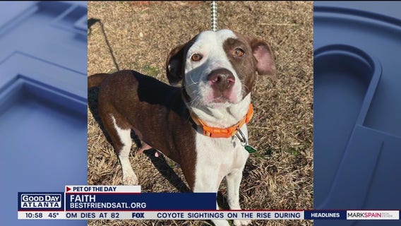 Pet of the Day from Best Friends Animal Society