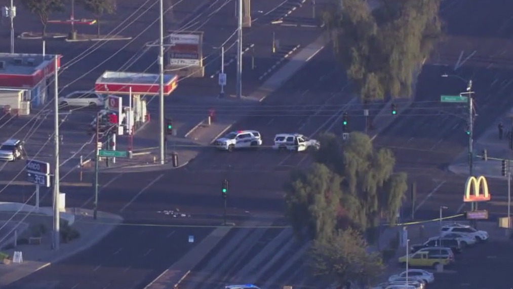 Teenage girl arrested in fatal hit-and-run