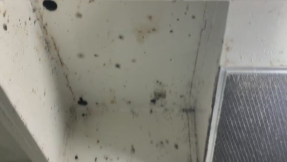 'Mold is everywhere', Spring Branch mother says apartment management refuses to help