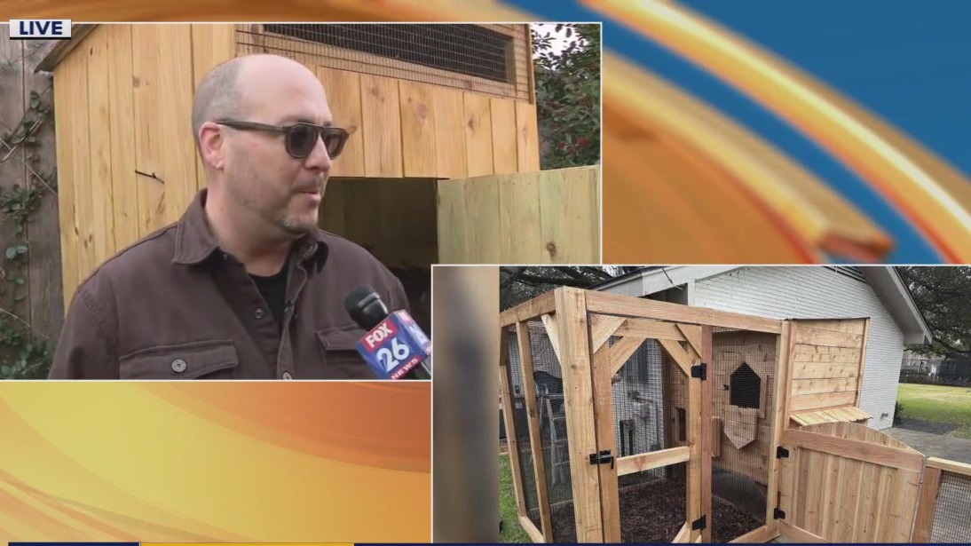 Benefits of having chicken coop in your backyard