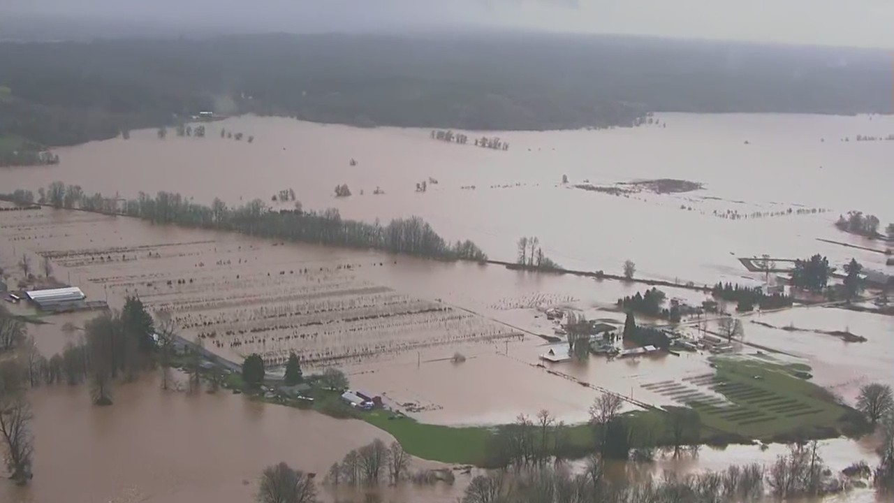 Aerial video shows major flooding in Lewis County, Washington