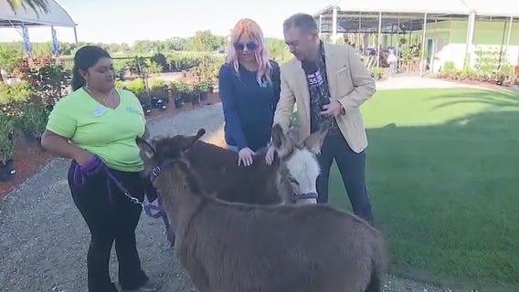 This garden shop in DeLeon Springs is ready for Easter weekend