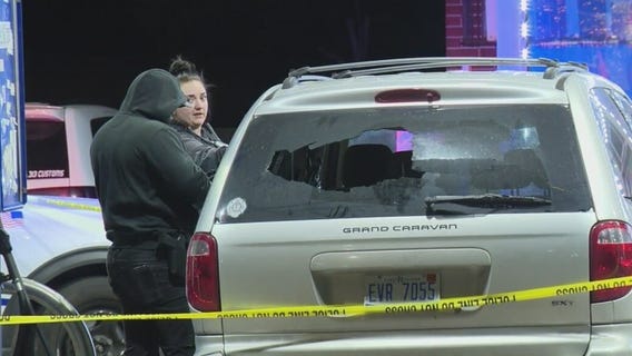 Detroit police shoot dog during early morning investigation