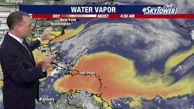 Tropical storms unlikely for the next few days