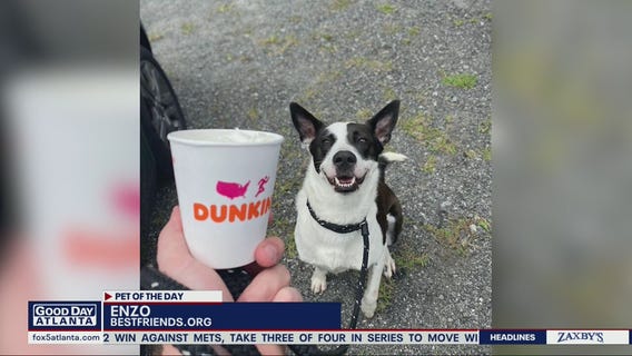 Pet of the Day with Best Friends Animal Society