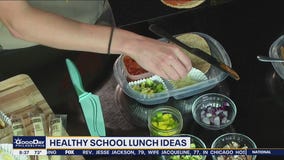 Healthy school lunch ideas for children