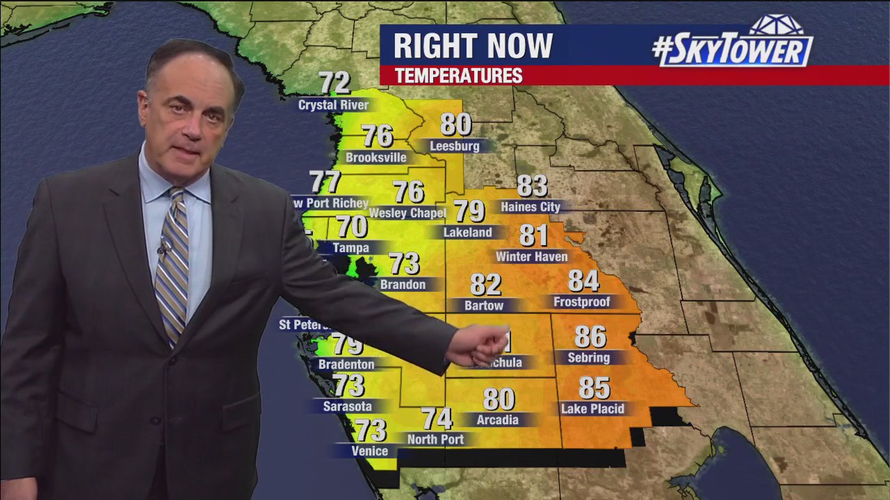 Tampa weather | Warm weather in Bay Area