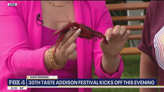 30th annual Taste Addison Festival kicks off tonight