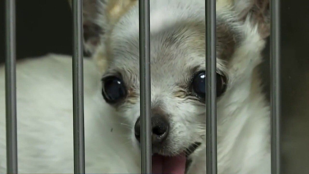 Forecasting with Friends 12/23