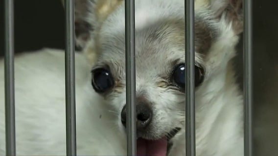 Forecasting with Friends 12/23