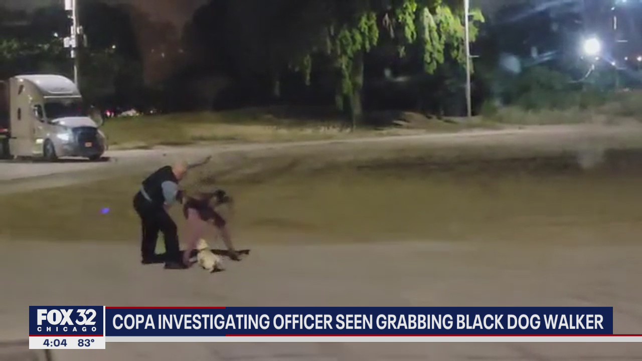 COPA investigating Chicago cop seen grabbling woman walking her dog