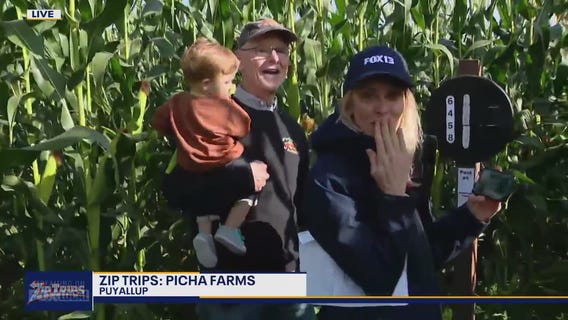 Zip Trips: Corn maze at Picha Farms