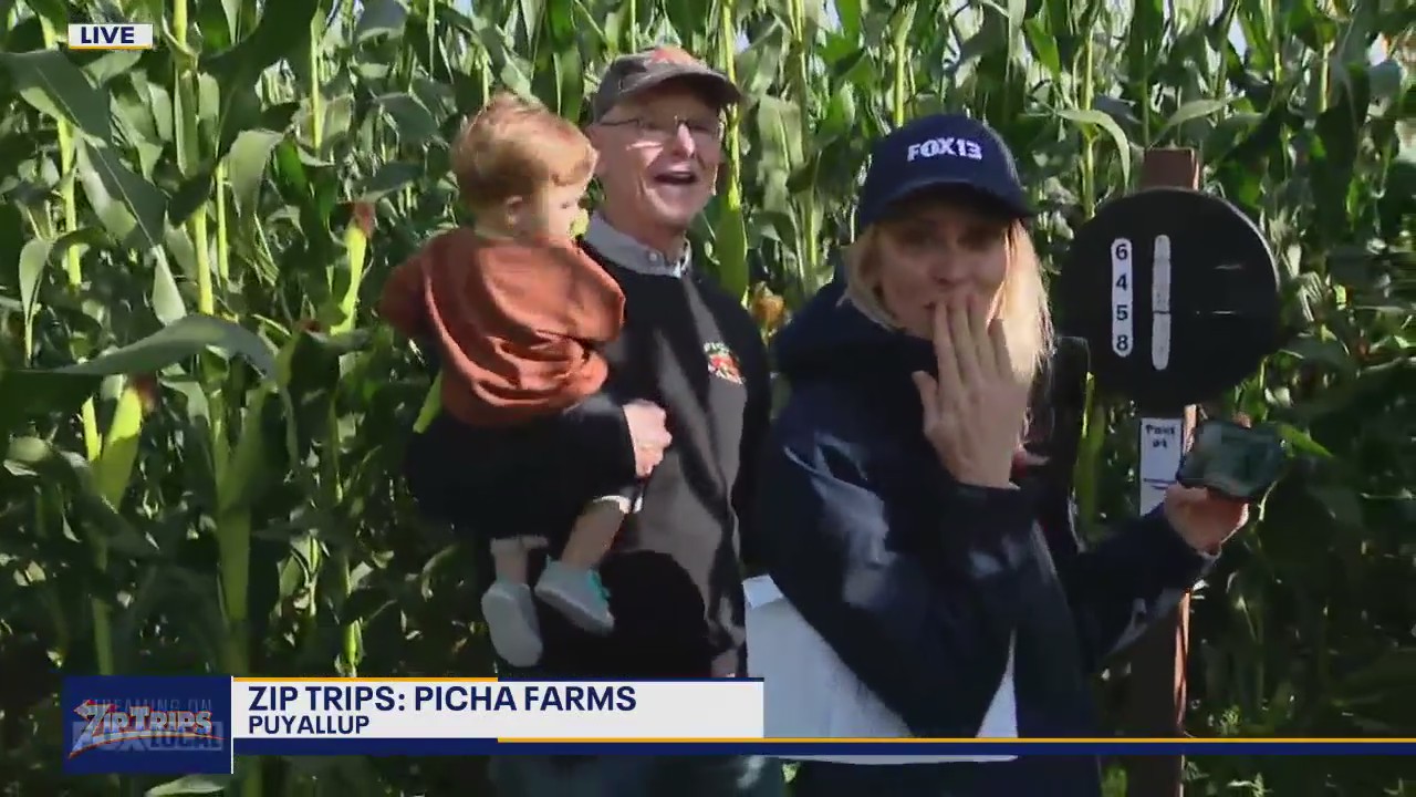 Zip Trips: Corn maze at Picha Farms