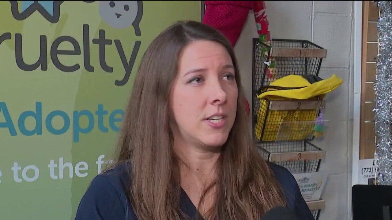 Chicago confirms first rabies-positive dog in decades