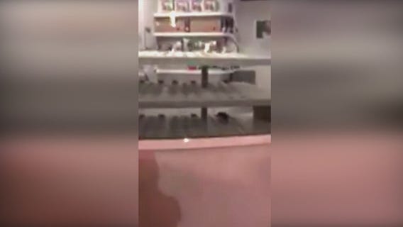 Rat spotted at Sprinkles Cupcakes in Americana at Brand in Glendale
