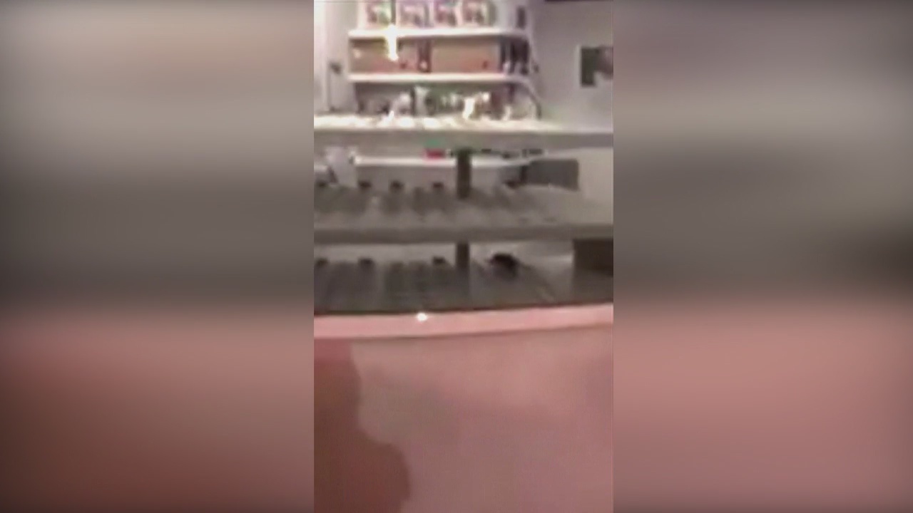 Rat spotted at Sprinkles Cupcakes in Americana at Brand in Glendale