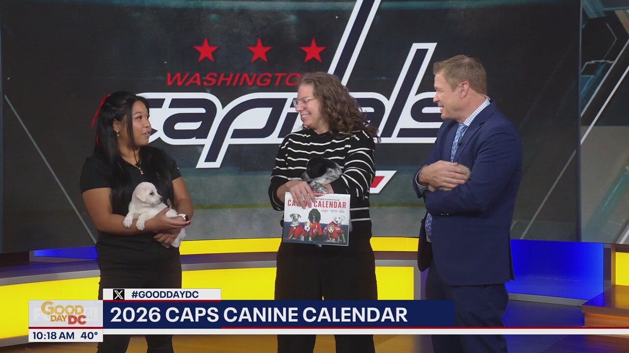 2026 Caps Canine Calendar