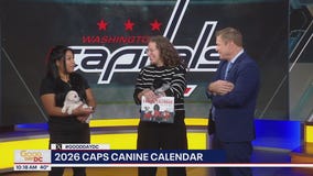 2026 Caps Canine Calendar