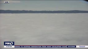 Chilly, foggy start improving by afternoon