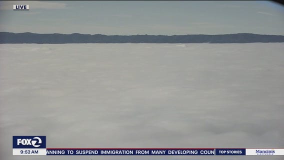 Chilly, foggy start improving by afternoon