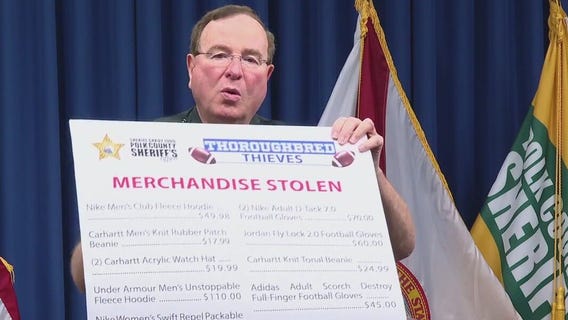 Teens arrested for role in organized theft ring