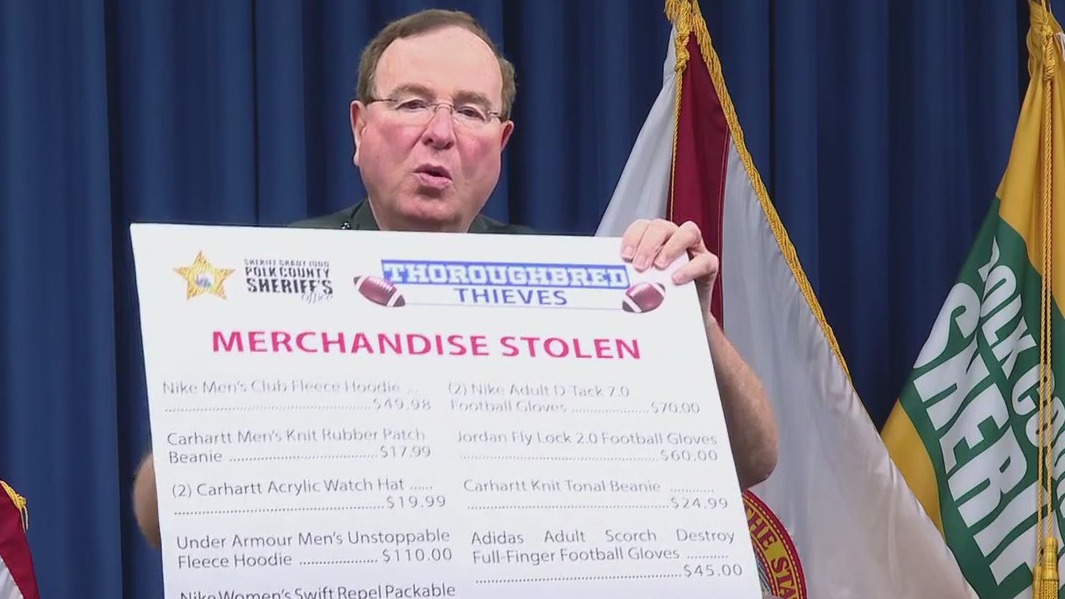 Teens arrested for role in organized theft ring