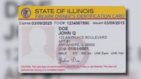 Cook County Sheriff's Office wants funding to remove guns from people who shouldn't own them