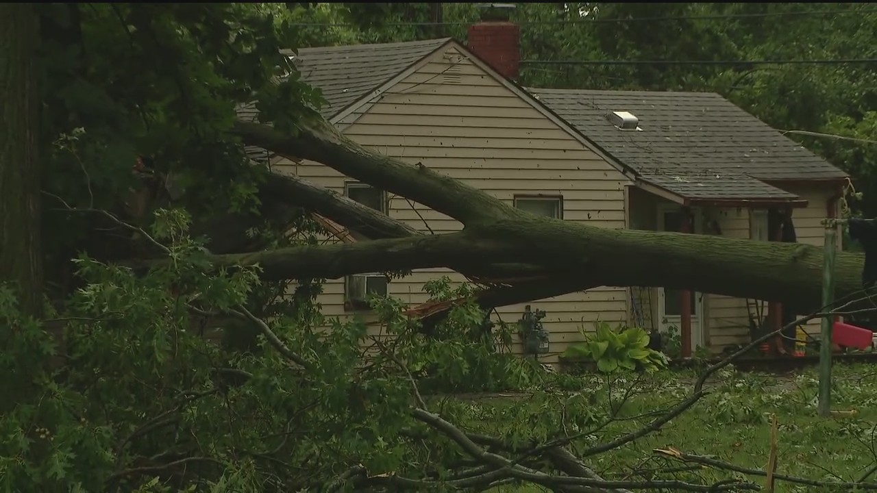 Trees toppled by storms in Brownstown Township