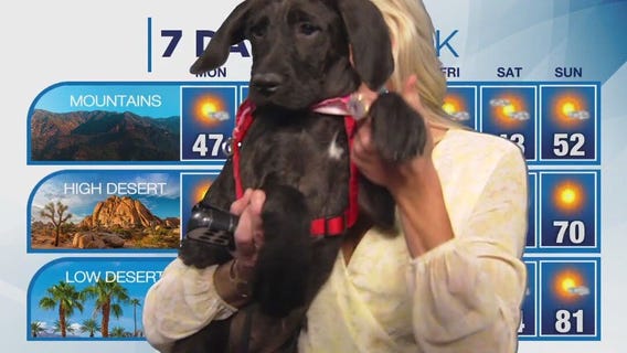 Weather forecast for Sunday, April 7