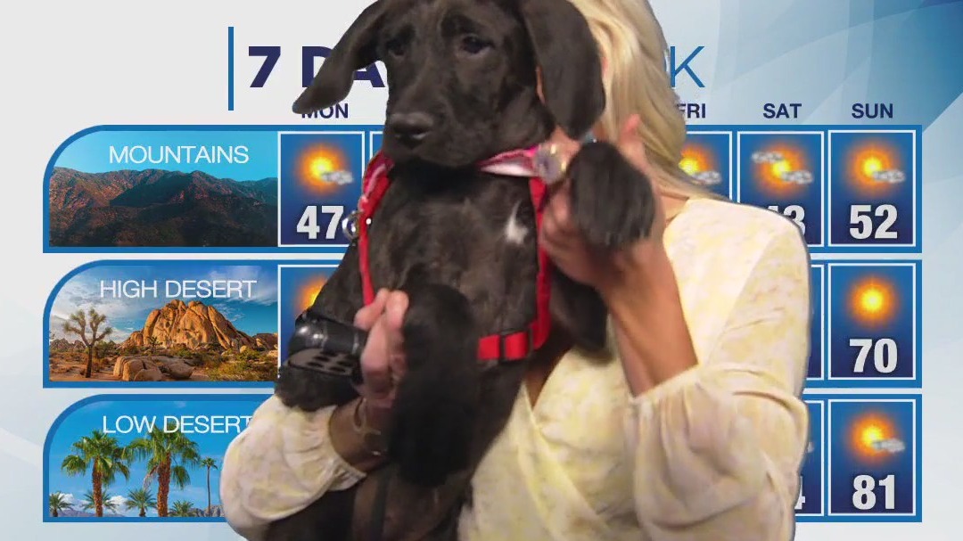 Weather forecast for Sunday, April 7