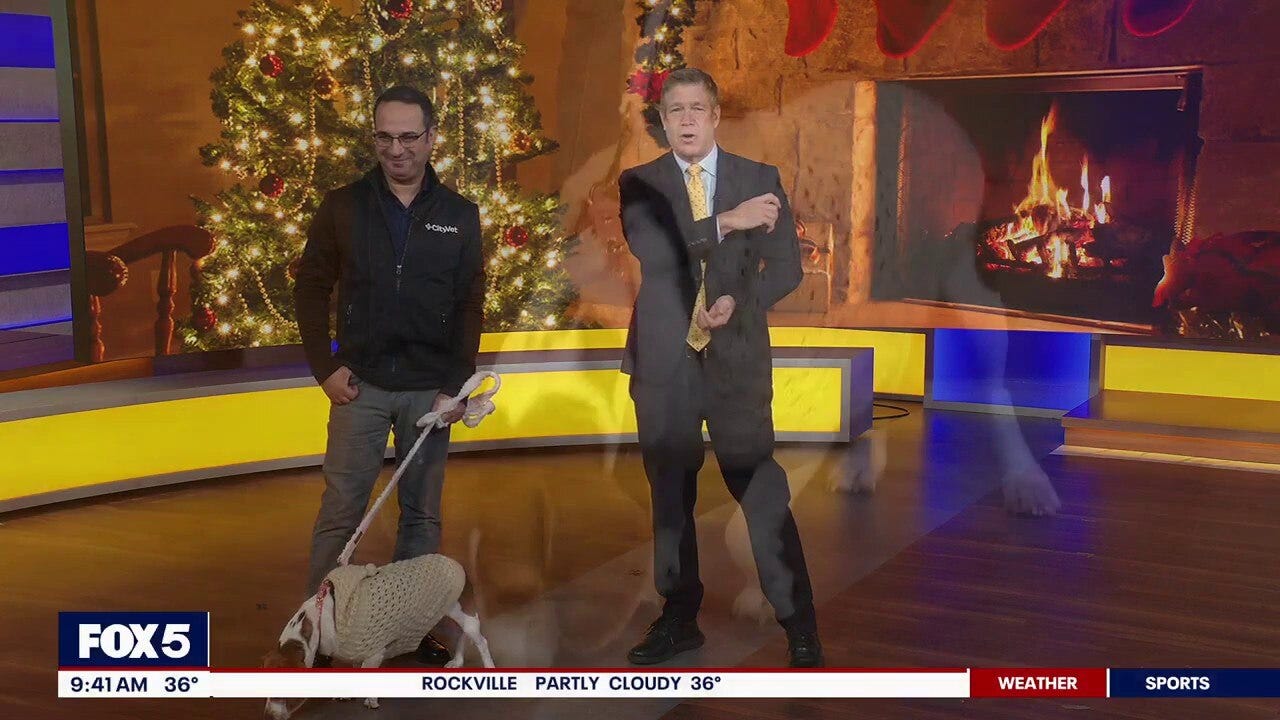 Holiday Pet Hazards with CityVet