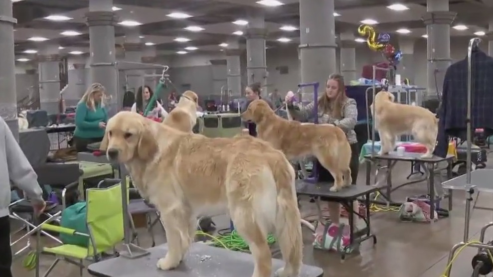 Land O? Lakes Kennel Club Dog show